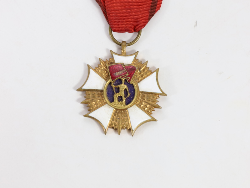 Polsk orden av bannertype I