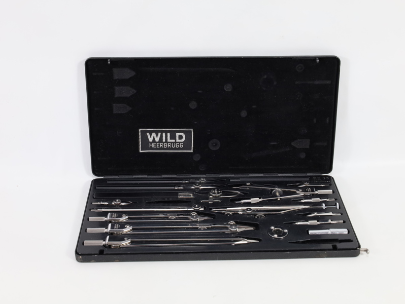 Eldre passer sett fra Wild Heerbrugg