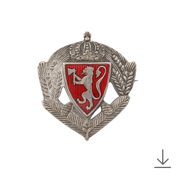 Norsk riksvåpen-brosje i emalje, sterling sølv 925S
