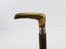 Antikk spaserstokk med hjortehornshåndtak og sølvmansjett – datert 1896