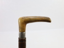 Antikk spaserstokk med hjortehornshåndtak og sølvmansjett – datert 1896