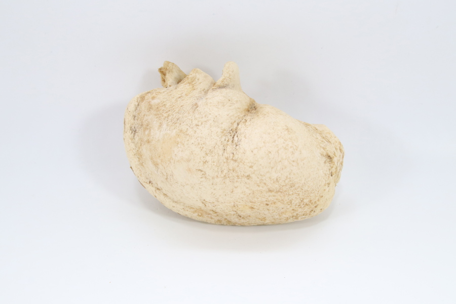 Hvaløre, naturlig overflate
