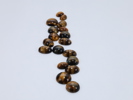 Samling cabochon-slipte tigerøye-steiner
