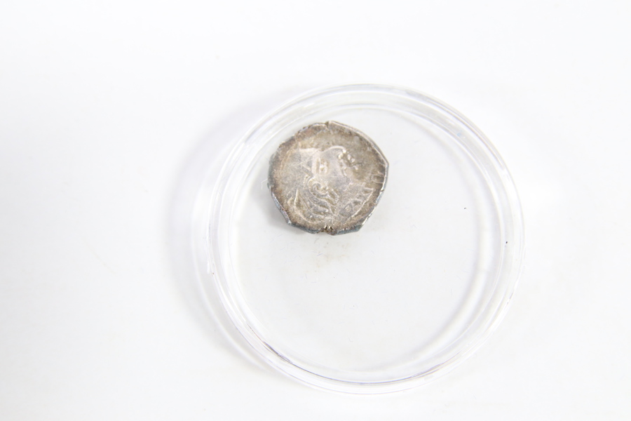 Eldre sølvmynt – portrettmotiv
