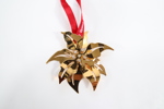 Georg Jensen juleornament 2007 – Forgylt julestjerne i original eske
