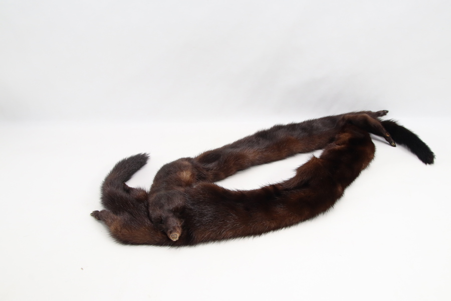 Vintage mink pelskrage – klassisk halssmykke i mørk brun mink