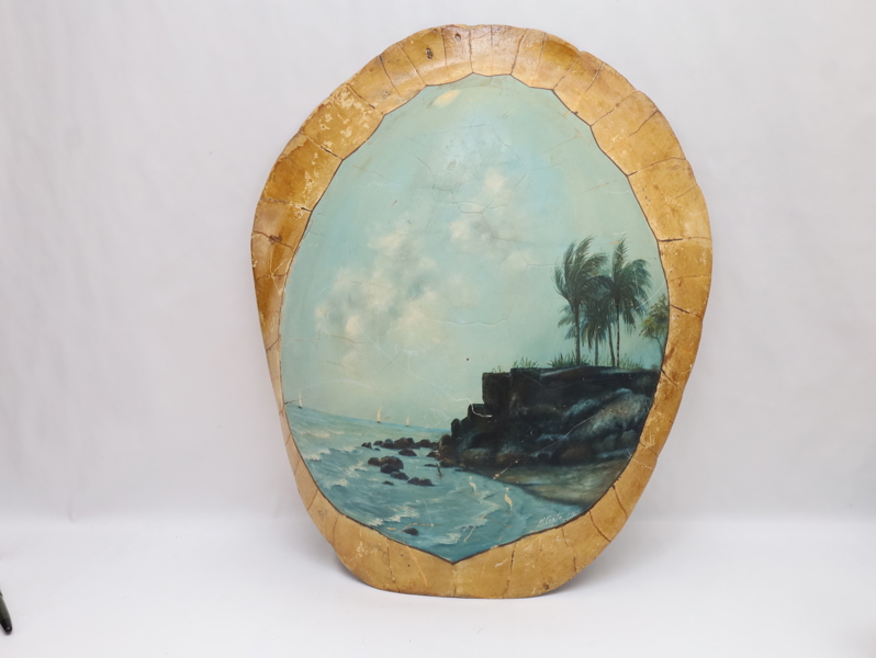 Håndmalt kystmotiv på skilpaddeskall, signert Miosta 1964