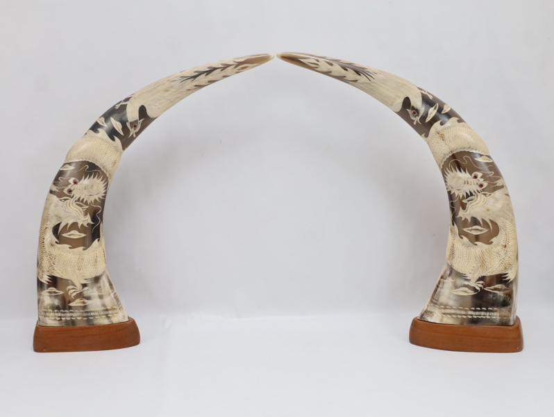 Par monumentale utskårne bøffelhorn med dragemotiv, Asia, 1900-tallet